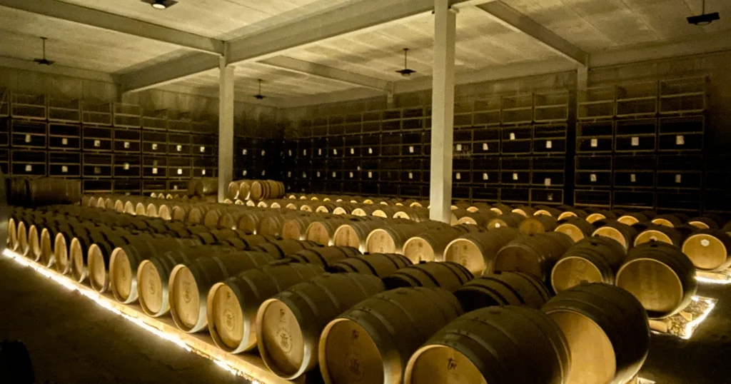 Tres Raices winery barrel cellar image with four rows of oak wine barrels
