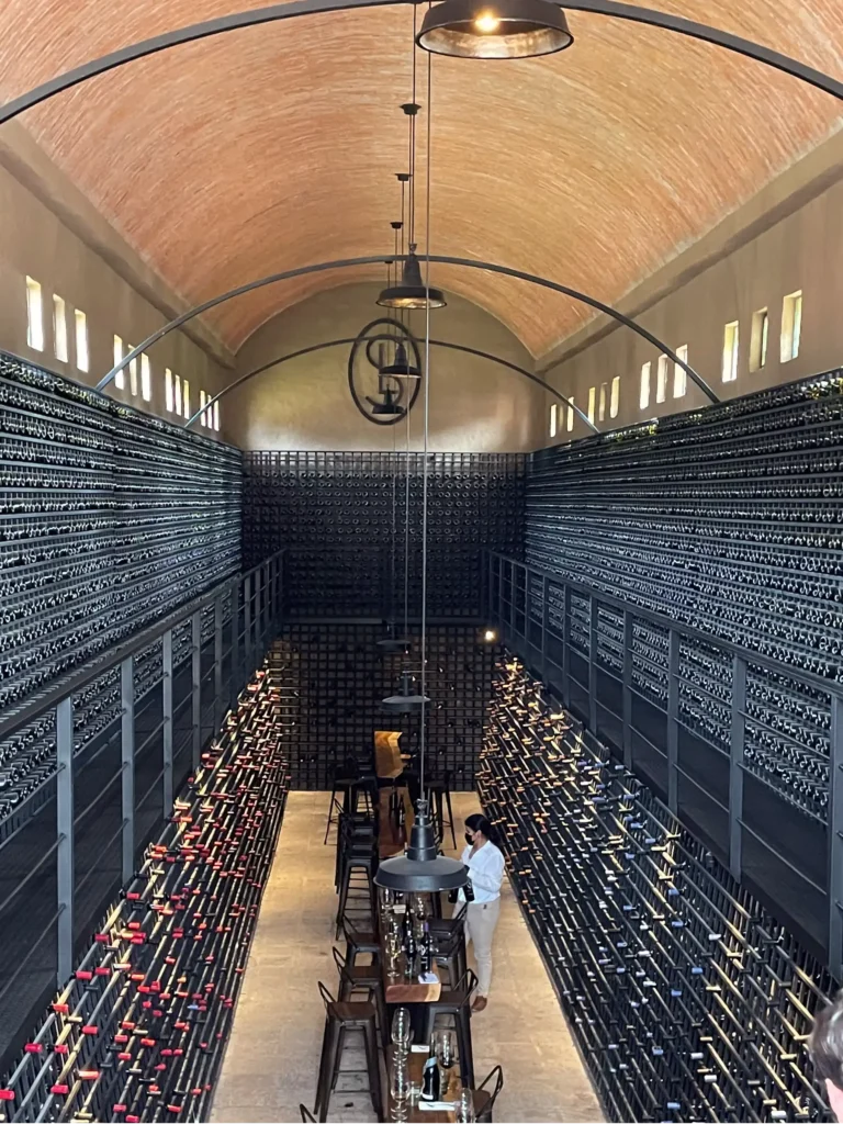 Image looking down into the Vinedos San Lucas wine cellar with walls of wine bottles on both sides and a long table down the middle of the floor a curve stone ceiling above with black iron chandelier hanging