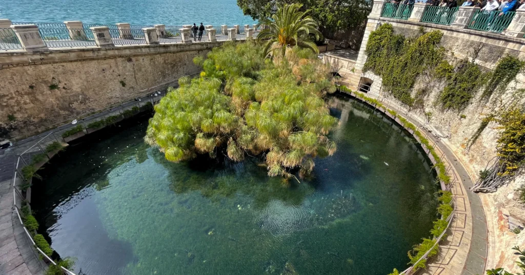 Ancient fountain next to the ocean with many papyrus plants in Syracuse Sicily