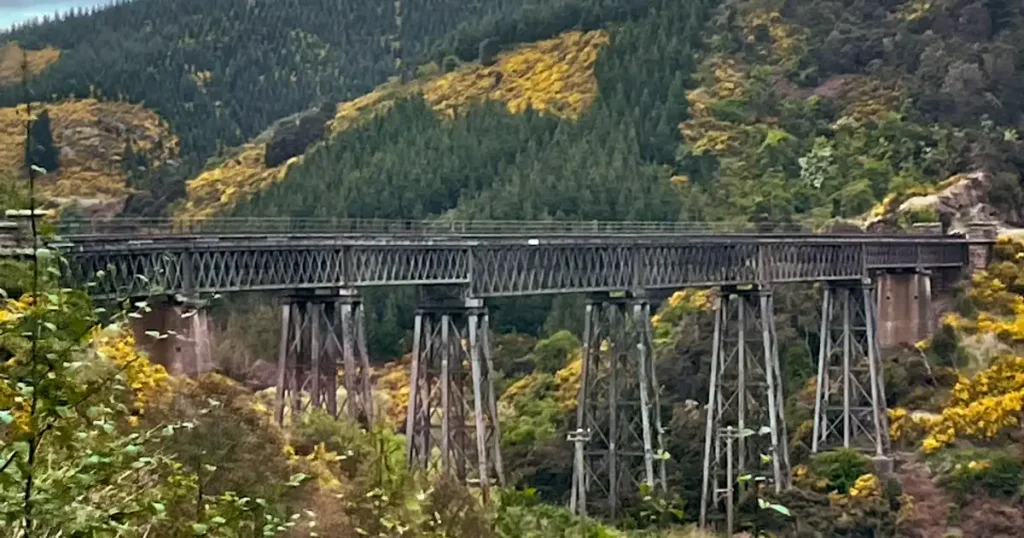 Metal railroad bridge and yellow covered hillside in the background