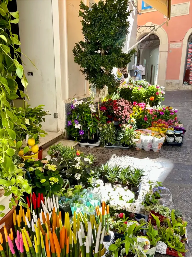 Flower display in Piazza Umberto