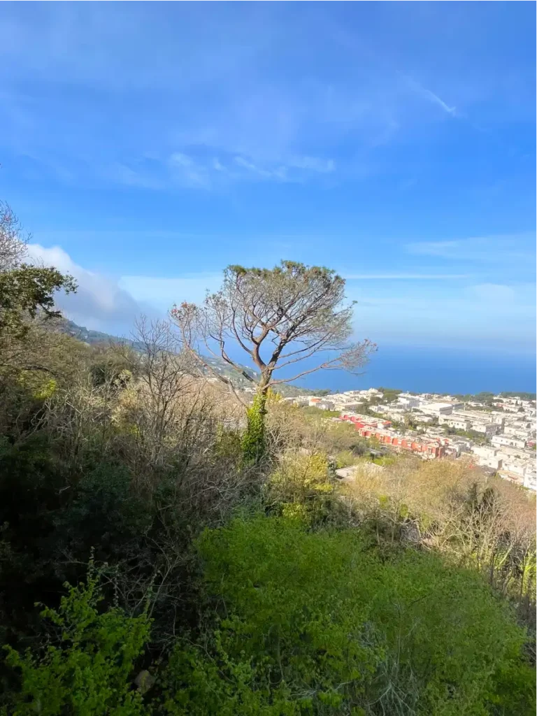 View of buildings and hillside in Capri from chairlift