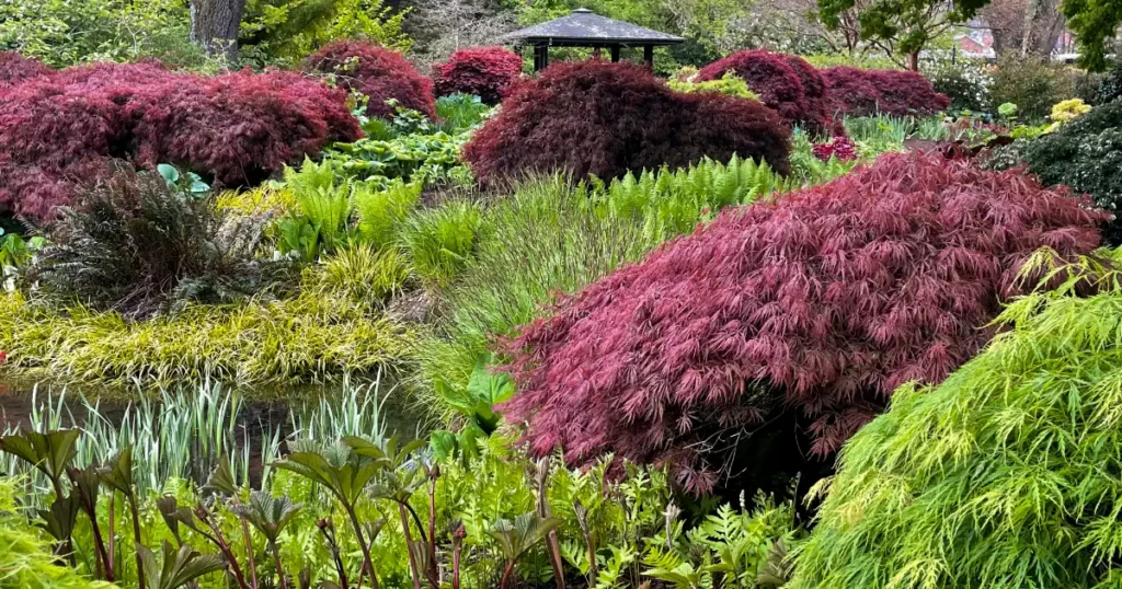 New Zealand Itinerary Dunedin Botanical Garden