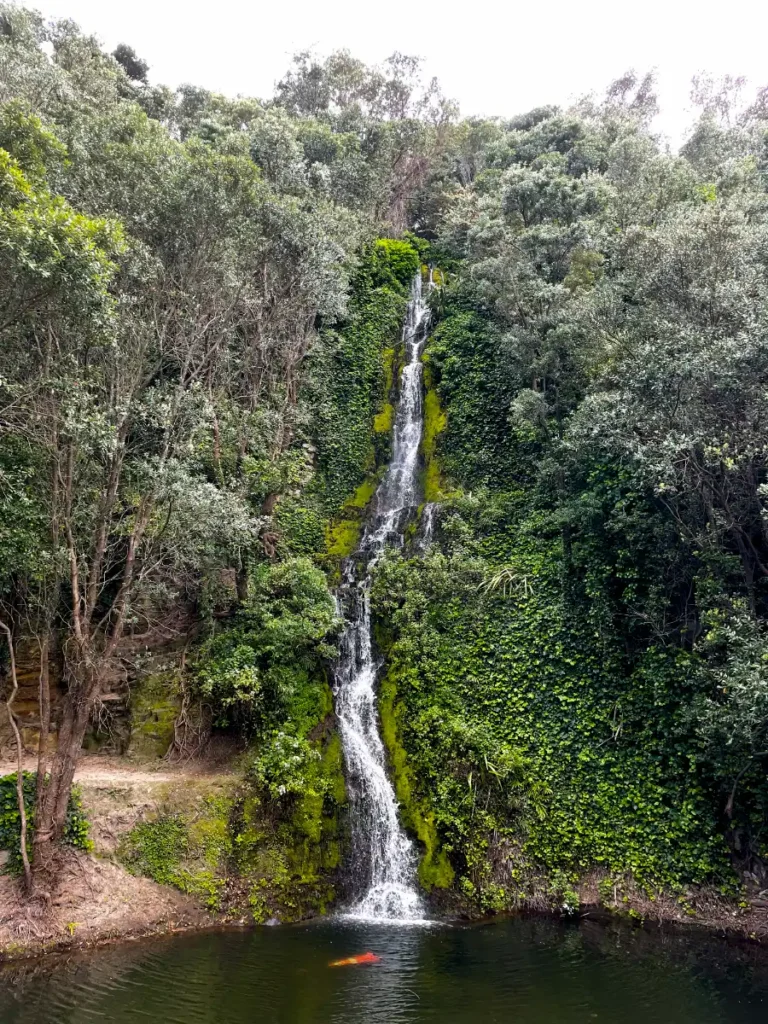 Immersive Natural Beauty in New Zealand Waterfall