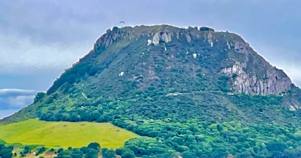 Tauranga View of Mount Royale