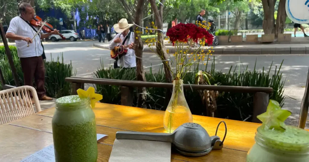 Ojo de Agua Green Juice with View