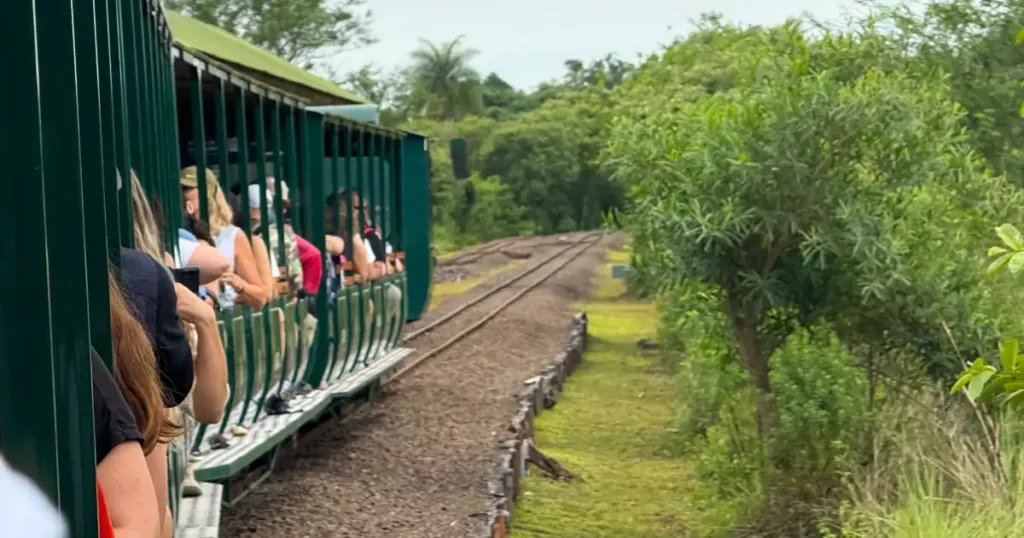 Traveling on Train from Main Station on the Argentina Side of Iguazu Falls