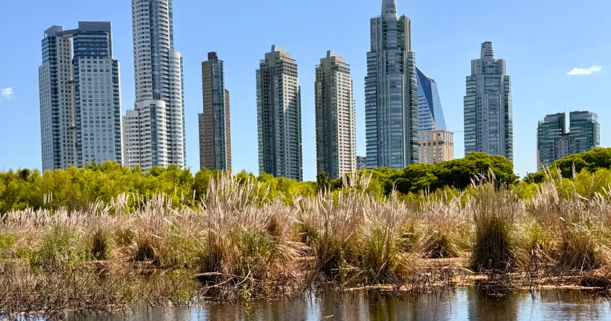 Beutiful cityscape image of Buenos Aires taken from eco Parque while Slow Traveling