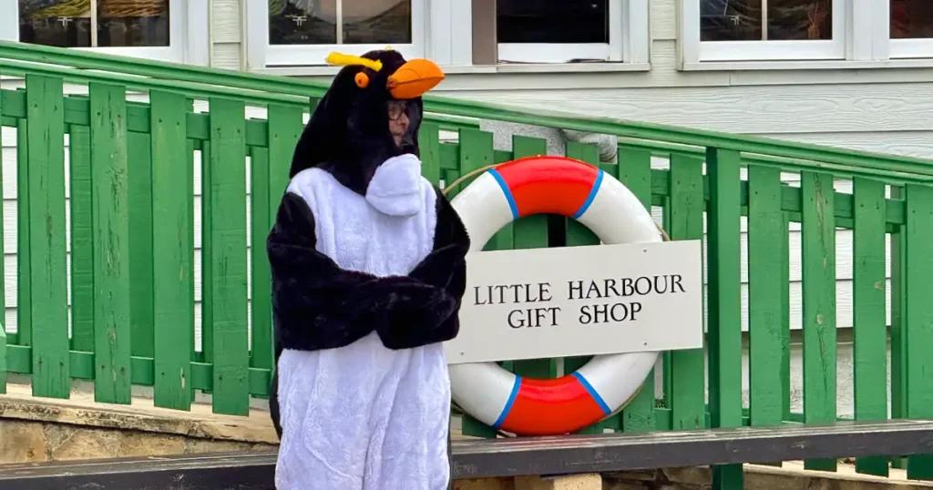 Largest Link Penguin Ever in front of gift shop in Port Stanley Falkland Islands