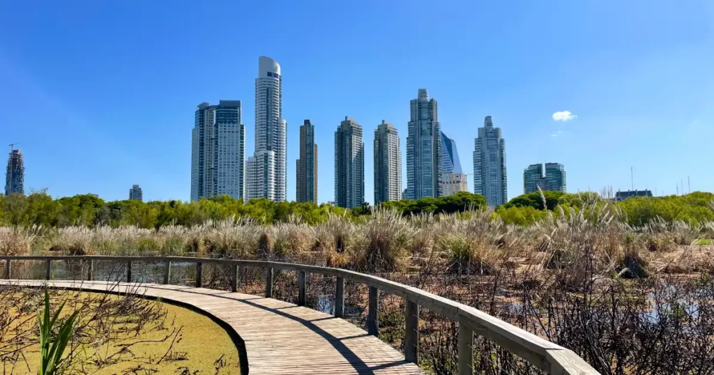 Reserva Ecologica on a beautiful day with a skyline view and many waterfowl