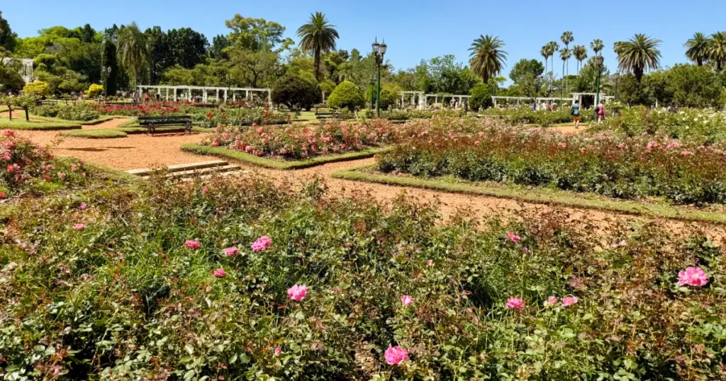 View of Buenos Aires Rose Garden with Trellace and many blooming roses