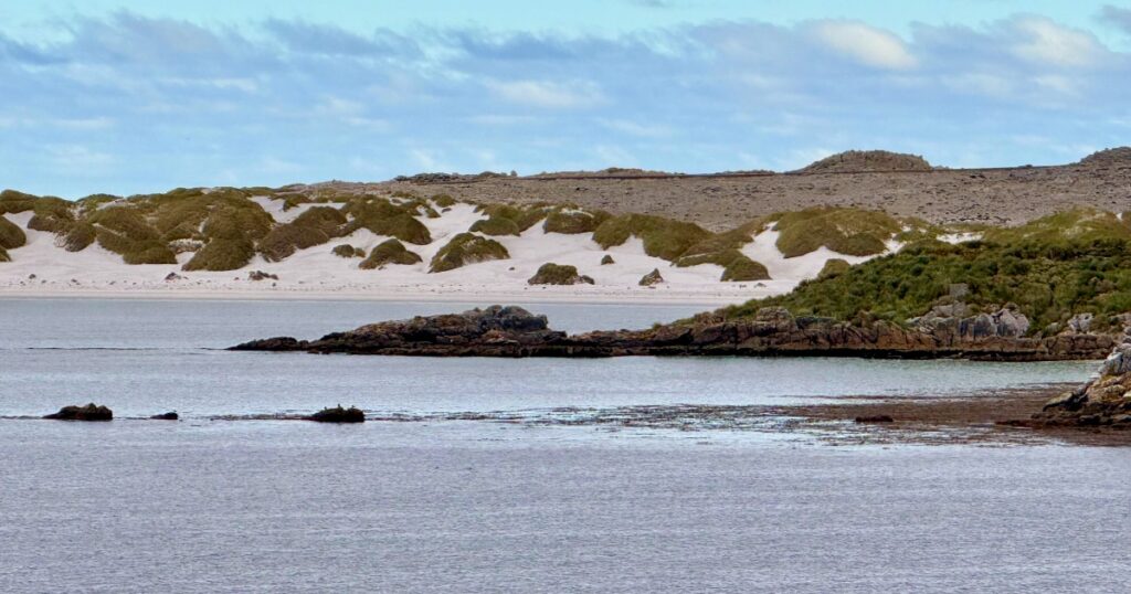 View of Gipsy Cove on The Falkland Islands From the Oosterdam